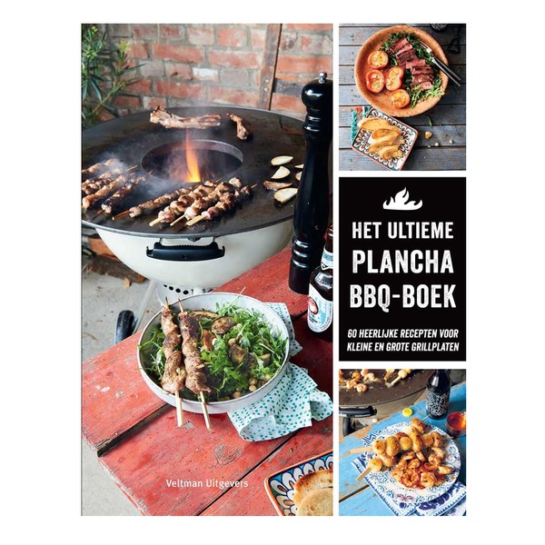 Het ultieme plancha BBQ boek
